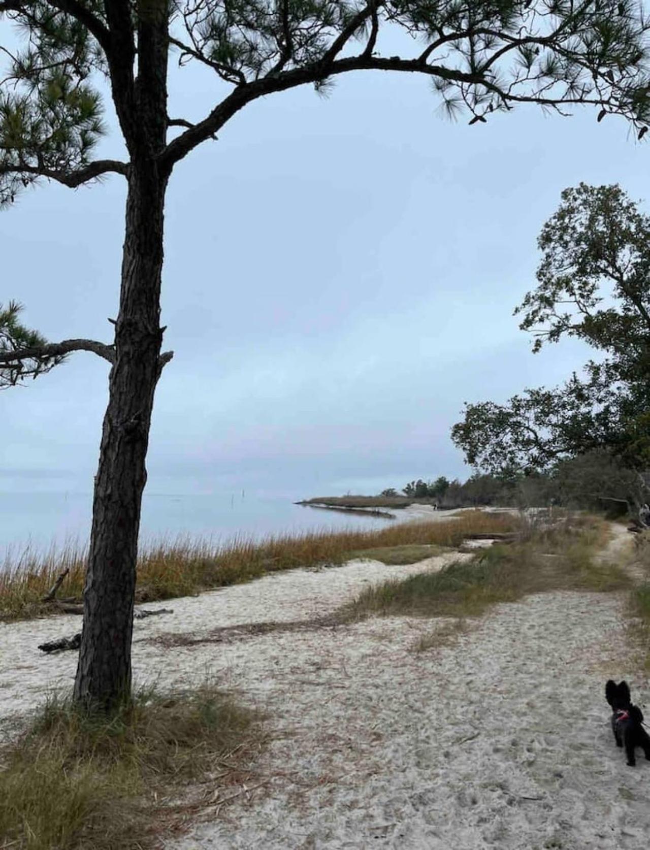 Sunskipper Iota Villa Carolina Beach Eksteriør billede